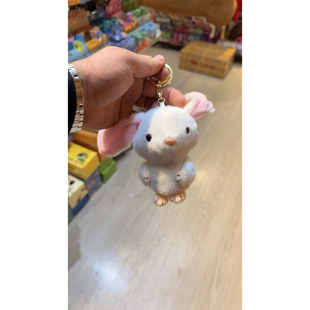 Uzun kulaklı tavşan beyaz