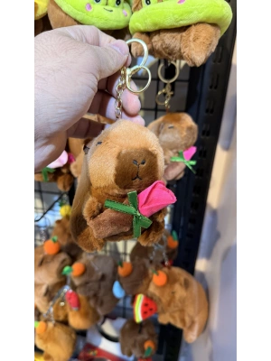 Cappypara f.gülüsu taşıyor