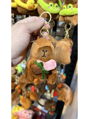 Cappypara p.gülüsü taşıyor