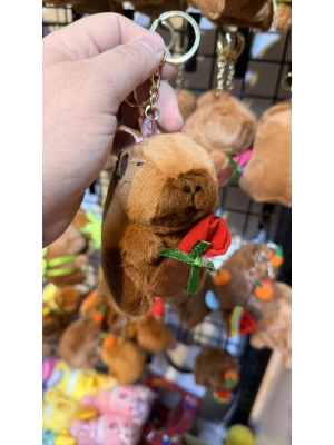 Cappypara k.gülüsü taşıyor