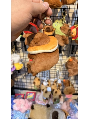 Cappypara yastık taşıyor