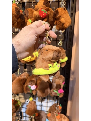 Capybara D.smit giyor