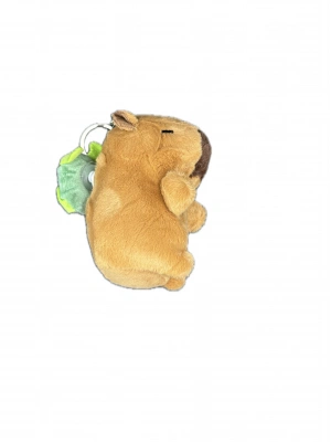 Capybara helikopter taşıyor