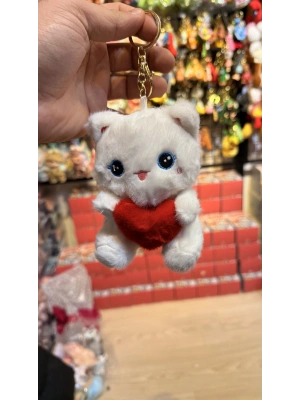 Kırmızı kalpli beyaz kedi