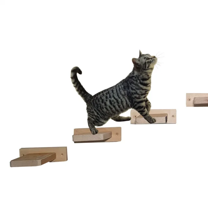 Barış Dizayn 15 Parça Veteriner Kliniği Kedi Eğlence Seti