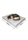 Doğal Ahşap Ortopedik Wellsoft Peluş Kedi Yatağı Yer Yatağı 40x50cm (2 renk)