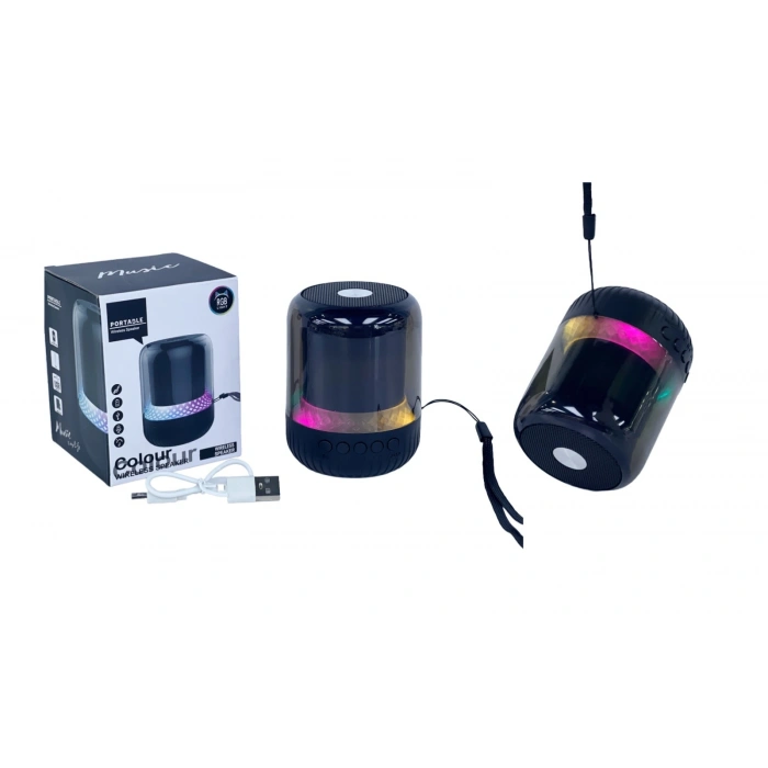 PLATOON PL-4445 BLUETOOTH MÜZİK KUTUSU