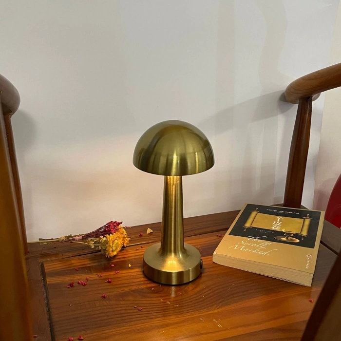 WINNBOSS LED DESK LAMP MASA LAMBASI