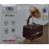 EVERTON RT-601 MÜZİK KUTUSU