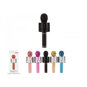 PLATOON PL-2463 KARAOKE MİKROFON