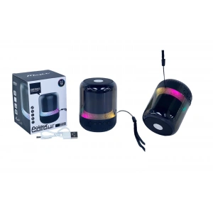 PLATOON PL-4445 BLUETOOTH MÜZİK KUTUSU