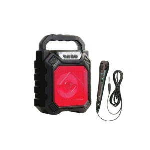 POLYGOLD JPJ-668 MİKROFONLU MÜZİK KUTUSU