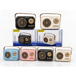 POLYGOLD PG-M4 MÜZİK KUTUSU