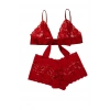 Kadın Kırmızı Dantelli & Kurdelalı Sütyen Külot Takımı