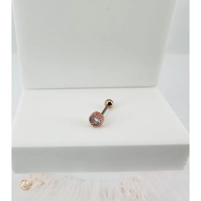 Rose Zirkon Taşlı Uç Kısmı : Pirinç Kıkırdak Bar Uzunluğu : 6 Mm / Bar Kalınlığı 0.8 Mm / Top Boyu 3 Mm - Pt0013-2