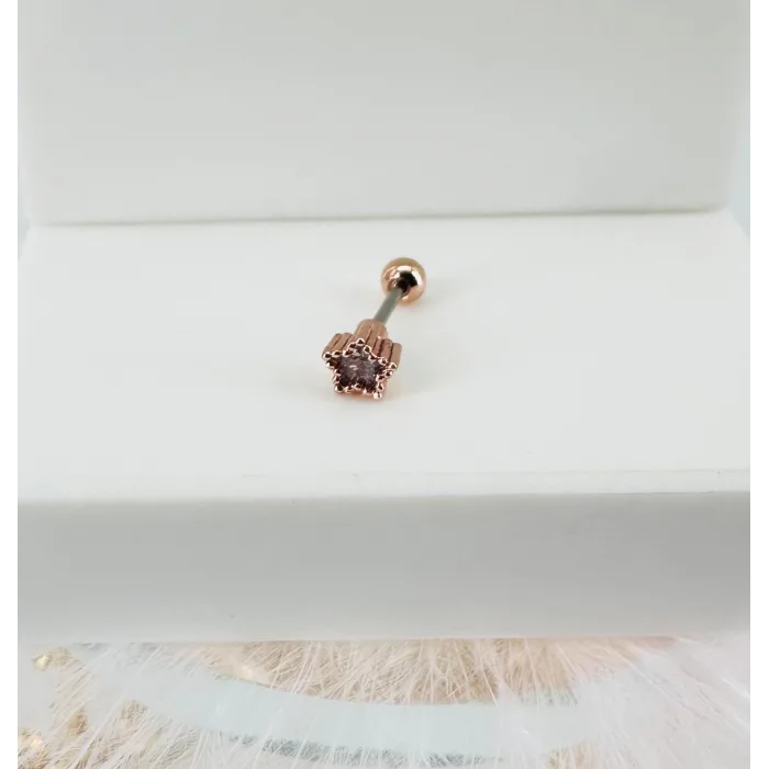 Rose Zirkon Taşlı Uç Kısmı : Pirinç Kıkırdak Bar Uzunluğu : 6 Mm / Bar Kalınlığı 0.8 Mm / Top Boyu 3 Mm - Pt0031-2