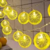 2m 10 Led Pilli 2 Kademeli Limon Led Işık Mz-304