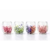 Çift Camlı Çiçekli Bardak Alk4471