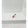 Rose Zirkon Taşlı Uç Kısmı : Pirinç Kıkırdak Bar Uzunluğu : 6 Mm / Bar Kalınlığı 0.8 Mm / Top Boyu 3 Mm - Pt0013-2