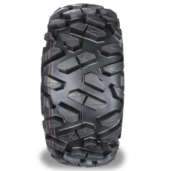 24X10-10 Armor P306 Master 6PR Atv Arka Lastiği