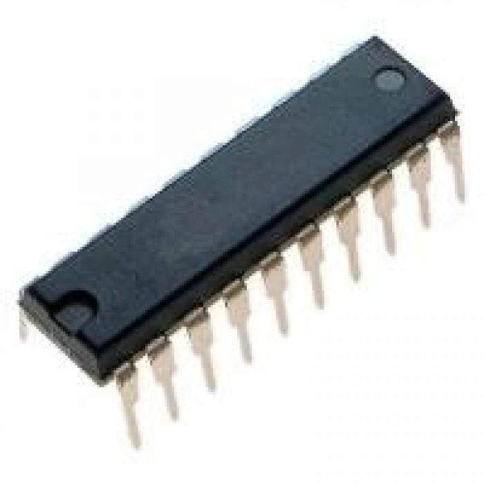 DBL1019