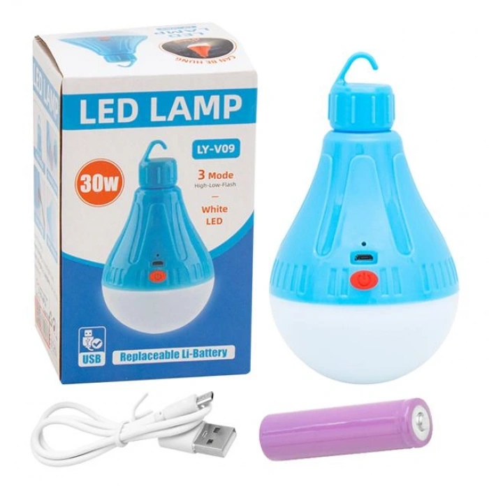 Powermaster LY-V09 Ampül