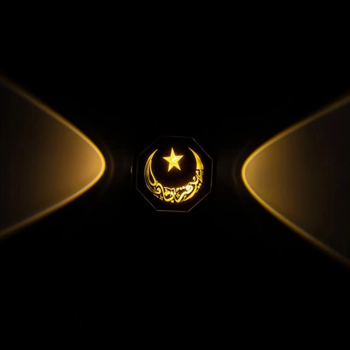 PowerMaster PM-24445 3000K Ayyıldız Hilal Dekoratif LED Duvar Aplik