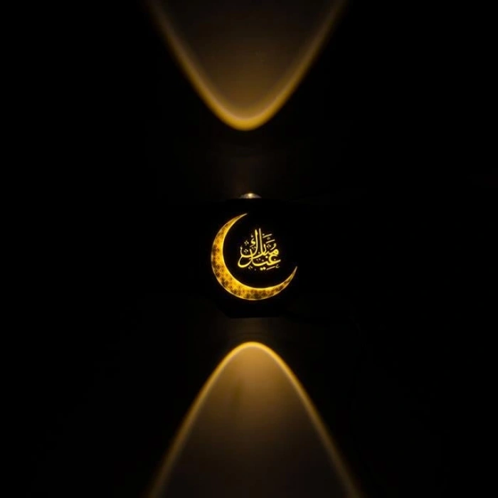 PowerMaster PM-24447 3000K Hilal Dekoratif LED Duvar Aplik
