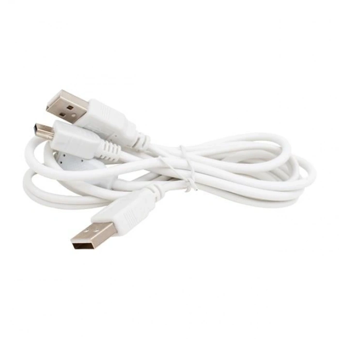 Powermaster USB 2 A Erkek-Mini USB 5 Pin 1 Metre Kablo