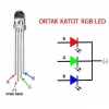 Powermaster 1592-5Mm RGB Led 4 Pin Ortak Katot