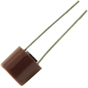 Yuvarlak Sigorta 2.5 A (Recevier İçin) Radial