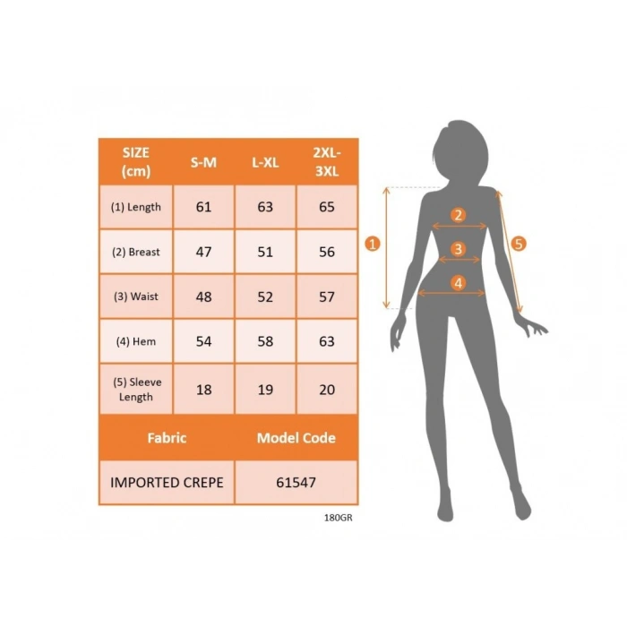 Kadın Kısa Kollu Lazer V Yakalı Ithal Krep Bluz