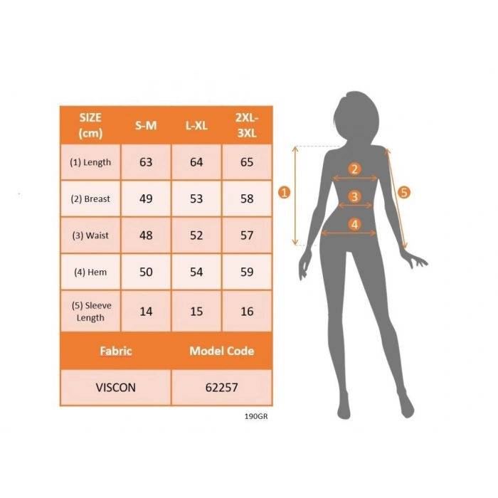 Kadın Kısa Kollu V Yakalı Viskon Bluz