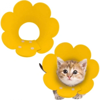 Evcil Hayvan S Boy Keçe Elizabeth Yakalığı