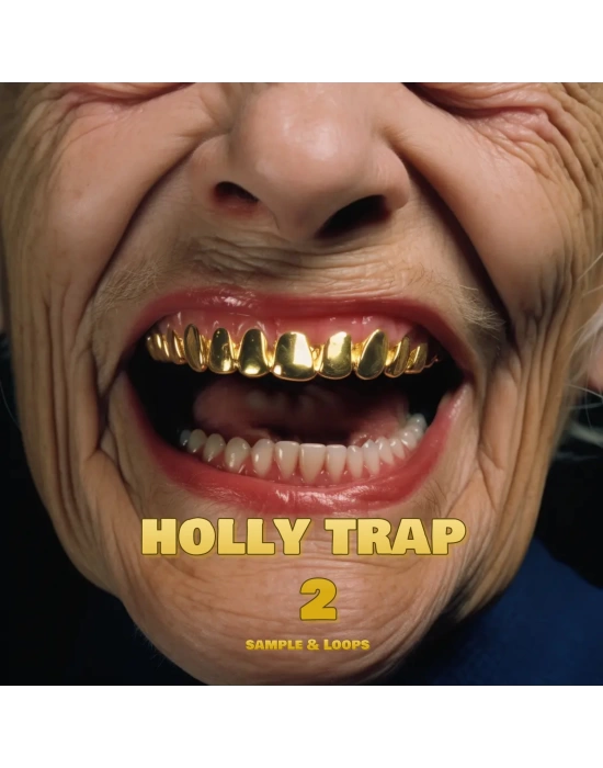 Holly Trap 2.2