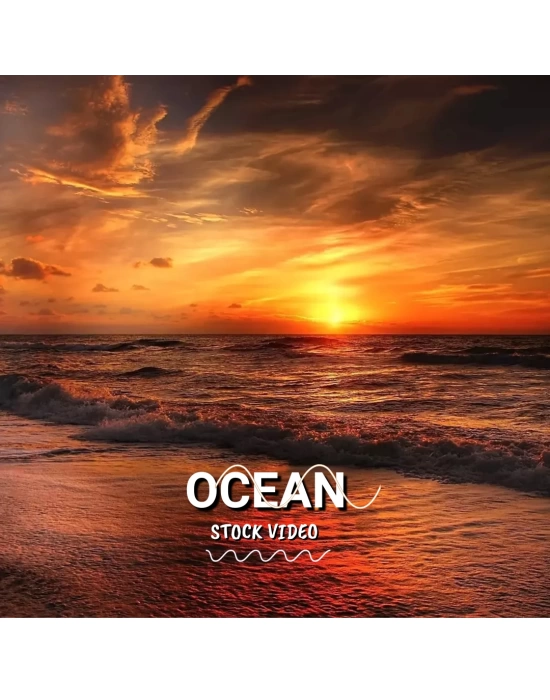 Ocean