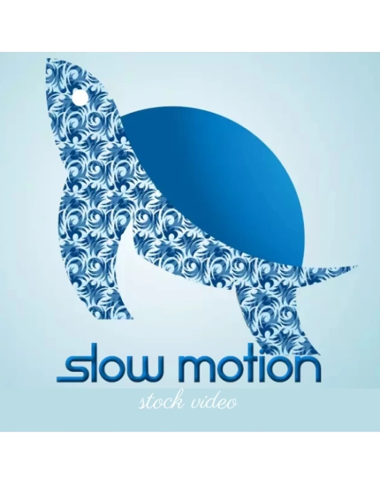 Slow Motion