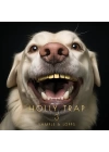 Holly Trap 3.3