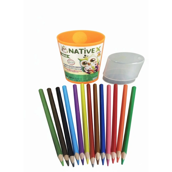 Nativex YENİ Jumbo Üçgen 12+1 Boya Kalemi plastik kutu