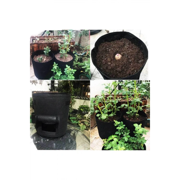 Keçe Bitki Yetiştirme Sepeti Bitki Yetiştirme Saksısı