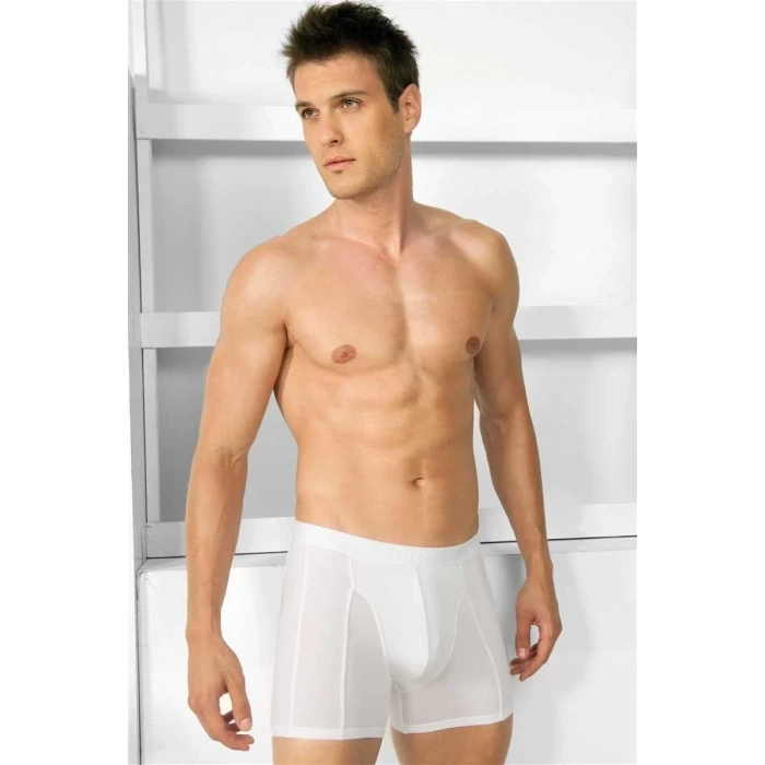 Erkek Modal Klasik Boxer