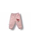 3-6 6-9 9-12 Ay Flamingo Nakışlı Uzun Kollu Sweatli 2li Kız Bebek Takımı Ekru