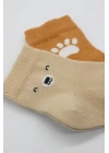 Bear Penye Soket Çorap 2li Bej