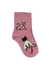 New Cats Yaş Soket Çorap  Pembe