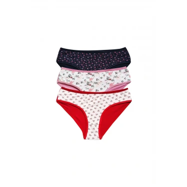 Pamuklu Geniş Kenarlı Likralı Desenli Bato Kadın Külot 3lü Paket Set2