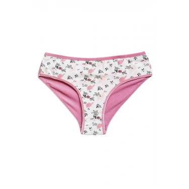 Pamuklu Geniş Kenarlı Likralı Desenli Bato Kadın Külot Desen 5