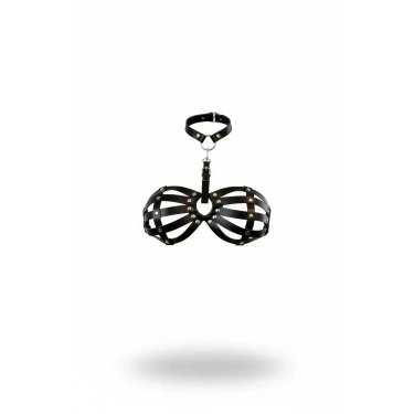 Siyah Göğüs Harness Kafes Detaylı Zımbalı Boyunluk - Brf224