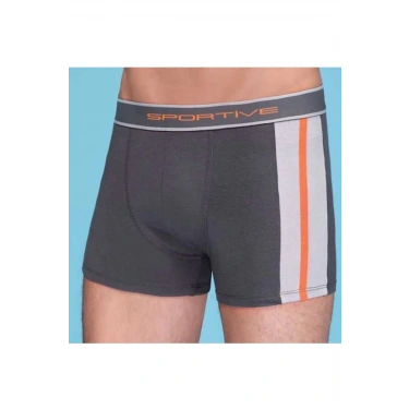 Erkek  Modal Boxer 1080