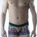 Erkek Renkli Desenli Boxer