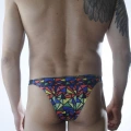 Erkek Renkli Desenli Brazillian Slip